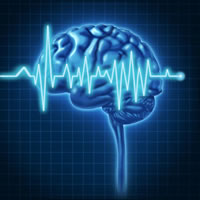 Javna nabava: EEG uređaj
